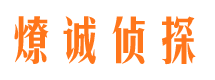 南川侦探